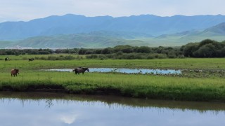 甘肅證監(jiān)局主要負責(zé)同志一行到協(xié)會調(diào)研指導(dǎo)工作