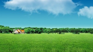 蛇年新程  投教新篇