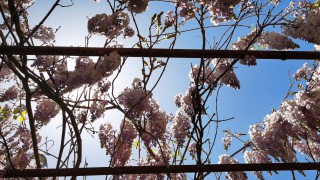 國泰海通證券敦煌黨河東路營業(yè)部 開展六一兒童節(jié)財商教育活動