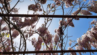 寓教于樂啟財商?童趣六一筑未來 ——國泰海通證券蘭州酒泉路營業(yè)部開展六一兒童節(jié)財商教育主題活動